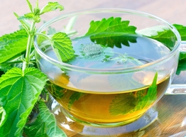 Статья: Как лечится и улучшить кожу с помощью крапивы?