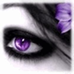 Аватар пользователя khamatbudo