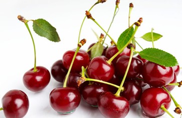 Статья: Вишня не только кормит, но и лечит