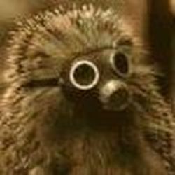 Аватар пользователя obelicks