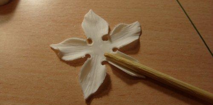 Шаг №21 МК Аквилегия от Учредительница