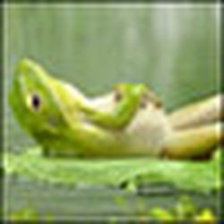 Аватар пользователя Опытная Домохозяйка