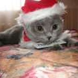 Аватар пользователя jilianna