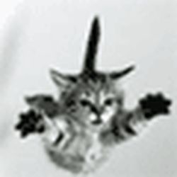 Аватар пользователя frozenroza