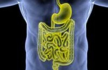 Методы очистки толстого кишечника