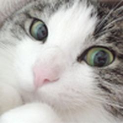 Аватар пользователя Maria-79