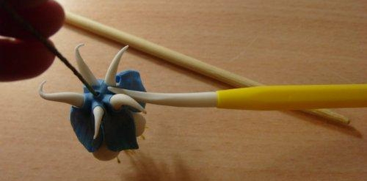 Шаг №26 МК Аквилегия от Учредительница