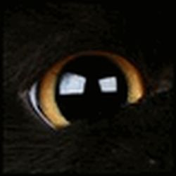 Аватар пользователя ensandoves