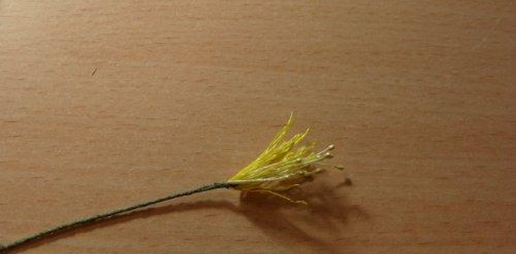 Шаг №4 МК Аквилегия от Учредительница