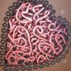 Аватар пользователя Yuliasimone