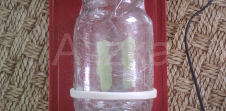 Шаг №4 МК Диадема от alizka