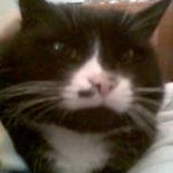 Аватар пользователя prascovia