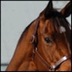 Аватар пользователя schedpasimpclav