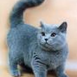 Аватар пользователя danatos