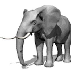 Аватар пользователя mamontenok