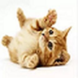 Аватар пользователя fabyjxrf