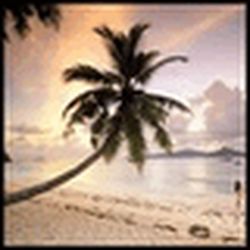 Аватар пользователя ivriebrutco