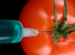 Помидор и СПИД