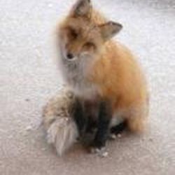 Аватар пользователя Катерина Козаченко