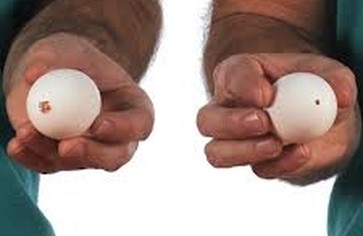 Статья: Студент придумал способ варить яйца… без воды