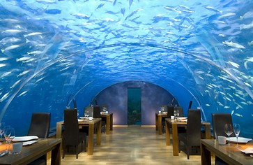 Самые необычные рестораны мира