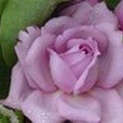 Аватар пользователя catty83