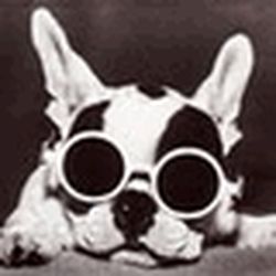 Аватар пользователя ranciresan