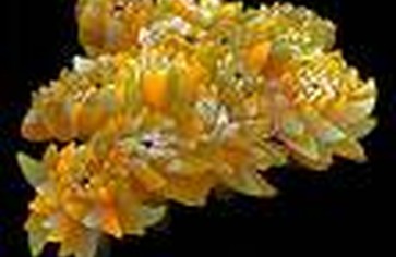 Нас уже 3500 человек ;-)