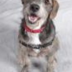 Аватар пользователя linzov