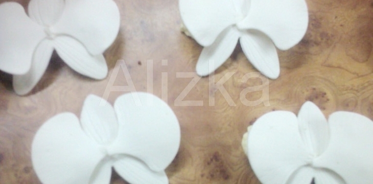 Шаг №11 МК Орхидеи от alizka