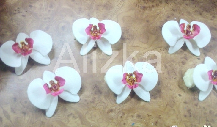 МК Орхидеи от alizka