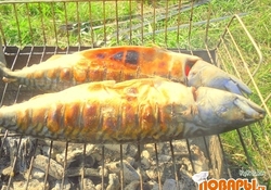 Рецепт: Скумбрия на мангале