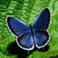 Аватар пользователя baseli