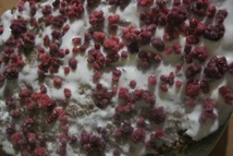 Шаг 9: Смазать кремом и посыпать ягодами …