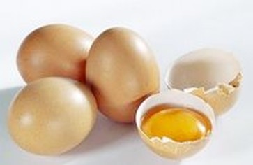 Интересное о яйце