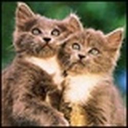 Аватар пользователя Luchka