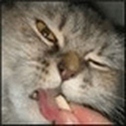 Аватар пользователя reiramatymc