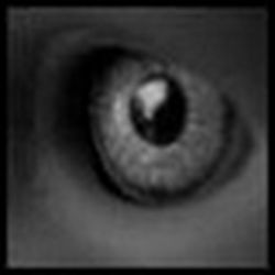 Аватар пользователя anasidop