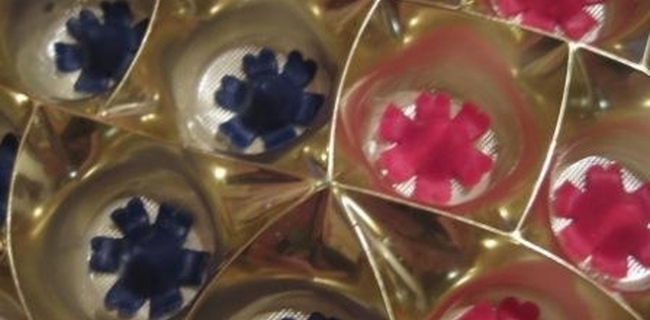 Шаг №6 МК Гиацинты от njura74