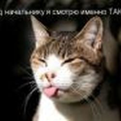 Аватар пользователя Kota