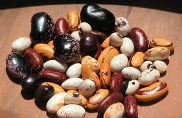 За что нужно любить фасоль?