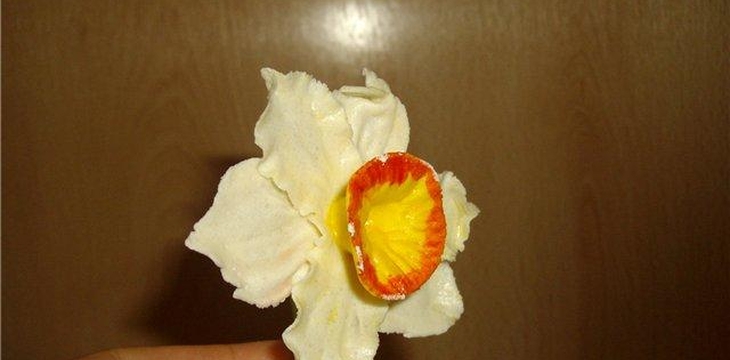 Шаг №8 МК Нарциссы от Тигра-Львовна