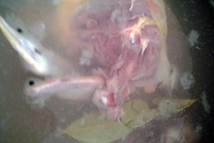 Шаг 1: Мясо поставить вариться (вода должна …