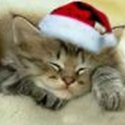 Аватар пользователя fanta