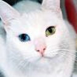 Аватар пользователя Катерина25