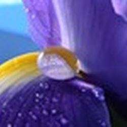 Аватар пользователя iriska552