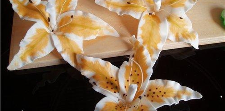 Шаг №8 МК Лилия от Larissa3