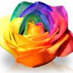 Аватар пользователя denalexsys