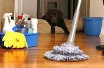 Сколько стоит чистота в доме?