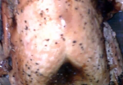 Новогодняя индейка в меду